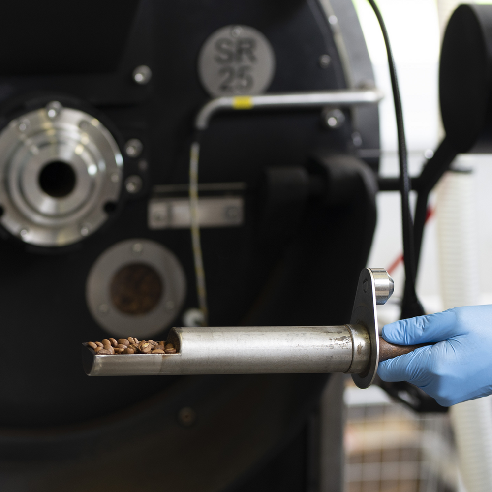 Coffee Cruise TANZANIA – Freshly Roasted Ground Coffee, 250g